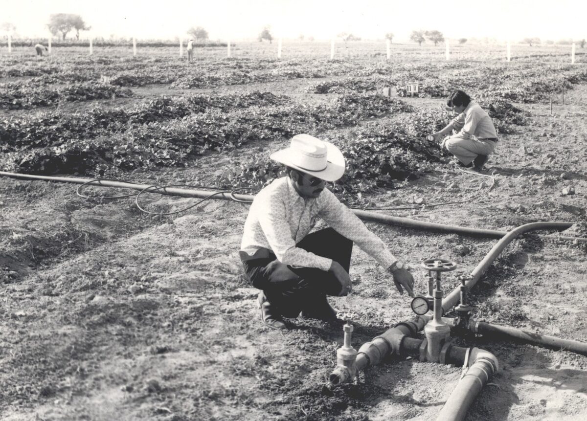 Técnicos revisando una válvula de riego tecnificado en campo